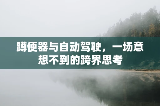 蹲便器与自动驾驶，一场意想不到的跨界思考