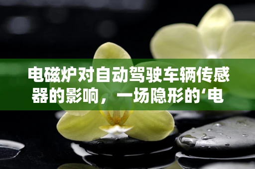 电磁炉对自动驾驶车辆传感器的影响，一场隐形的‘电磁风暴’？