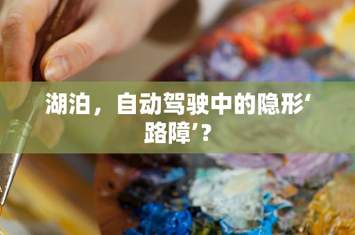 湖泊，自动驾驶中的隐形‘路障’？