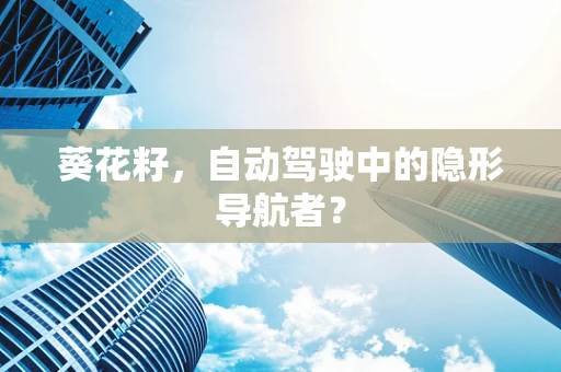 葵花籽，自动驾驶中的隐形导航者？
