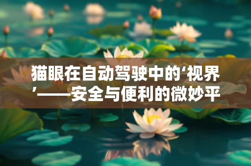 猫眼在自动驾驶中的‘视界’——安全与便利的微妙平衡？
