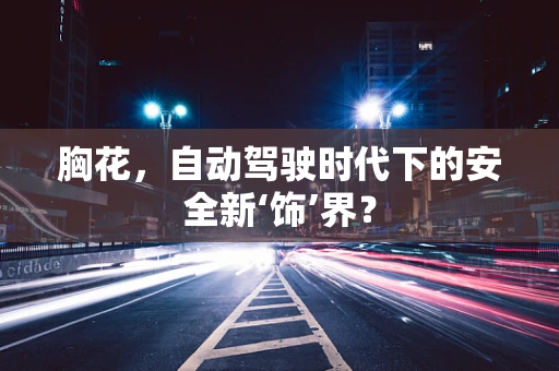 胸花，自动驾驶时代下的安全新‘饰’界？