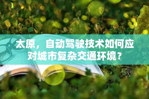 太原，自动驾驶技术如何应对城市复杂交通环境？