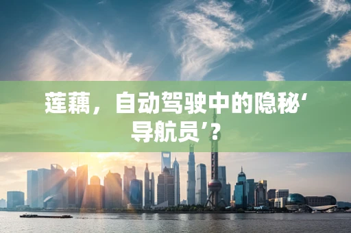莲藕，自动驾驶中的隐秘‘导航员’？