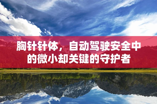 胸针针体，自动驾驶安全中的微小却关键的守护者