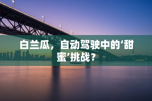 白兰瓜，自动驾驶中的‘甜蜜’挑战？