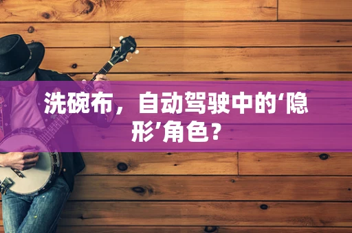 洗碗布，自动驾驶中的‘隐形’角色？
