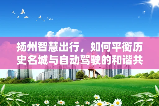 扬州智慧出行，如何平衡历史名城与自动驾驶的和谐共存？