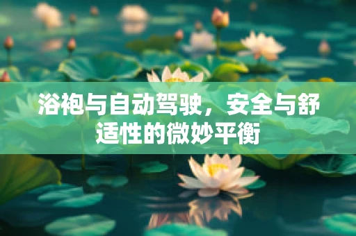 浴袍与自动驾驶，安全与舒适性的微妙平衡
