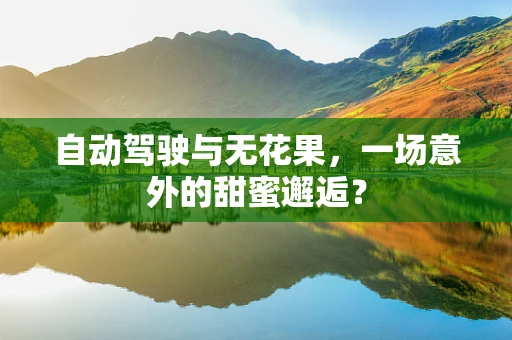 自动驾驶与无花果，一场意外的甜蜜邂逅？