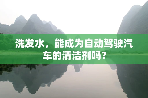 洗发水，能成为自动驾驶汽车的清洁剂吗？