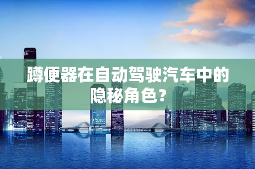 蹲便器在自动驾驶汽车中的隐秘角色？