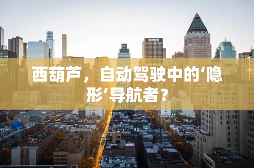 西葫芦，自动驾驶中的‘隐形’导航者？