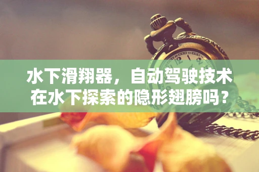 水下滑翔器，自动驾驶技术在水下探索的隐形翅膀吗？