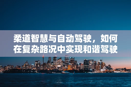 柔道智慧与自动驾驶，如何在复杂路况中实现和谐驾驶？