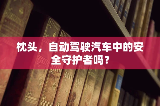 枕头，自动驾驶汽车中的安全守护者吗？