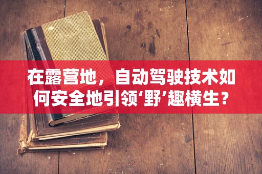 在露营地，自动驾驶技术如何安全地引领‘野’趣横生？
