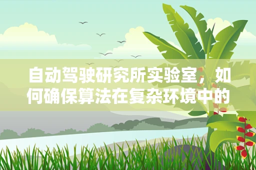 自动驾驶研究所实验室，如何确保算法在复杂环境中的鲁棒性？