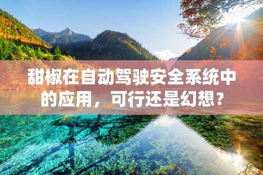 甜椒在自动驾驶安全系统中的应用，可行还是幻想？