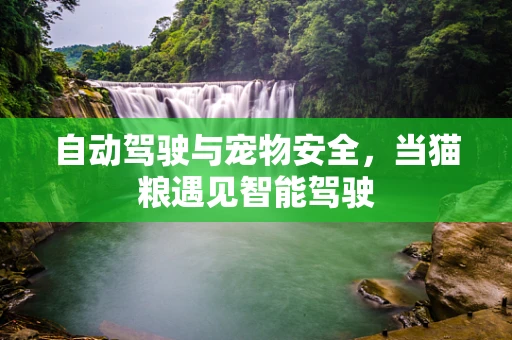 自动驾驶与宠物安全，当猫粮遇见智能驾驶