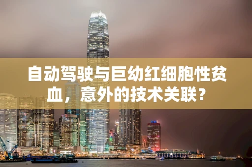 自动驾驶与巨幼红细胞性贫血，意外的技术关联？