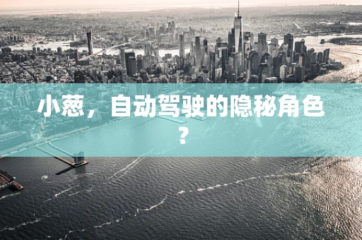 小葱，自动驾驶的隐秘角色？