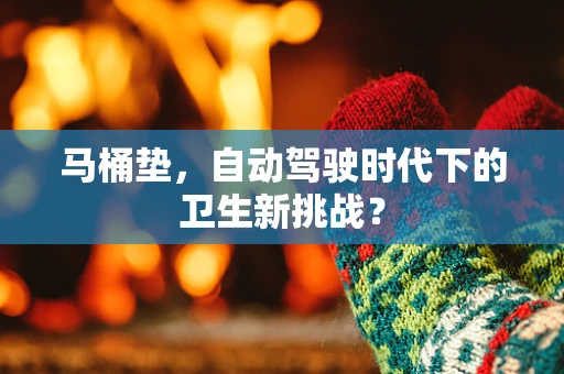 马桶垫，自动驾驶时代下的卫生新挑战？
