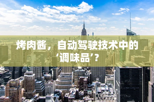 烤肉酱，自动驾驶技术中的‘调味品’？