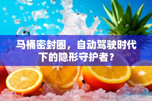 马桶密封圈，自动驾驶时代下的隐形守护者？