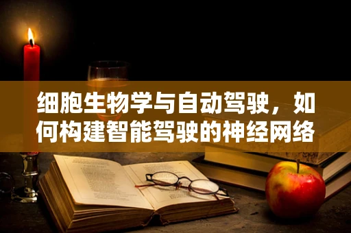 细胞生物学与自动驾驶，如何构建智能驾驶的神经网络？