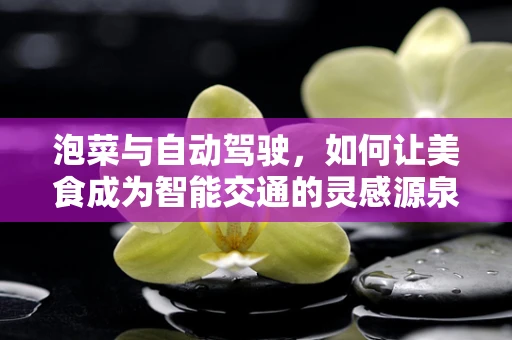 泡菜与自动驾驶，如何让美食成为智能交通的灵感源泉？