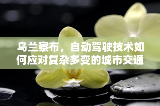 乌兰察布，自动驾驶技术如何应对复杂多变的城市交通环境？
