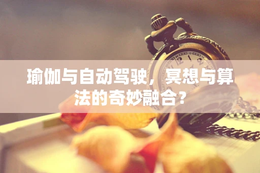 瑜伽与自动驾驶，冥想与算法的奇妙融合？