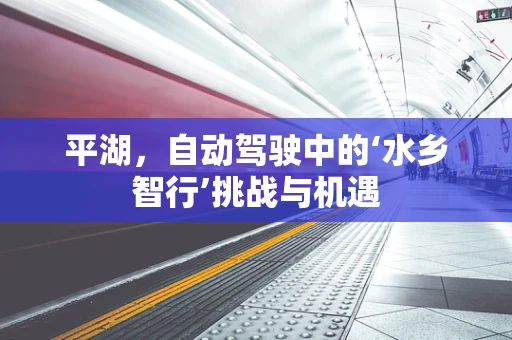 平湖，自动驾驶中的‘水乡智行’挑战与机遇