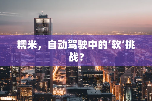 糯米，自动驾驶中的‘软’挑战？