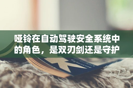 哑铃在自动驾驶安全系统中的角色，是双刃剑还是守护神？