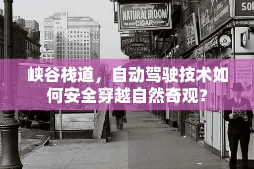 峡谷栈道，自动驾驶技术如何安全穿越自然奇观？