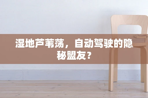 湿地芦苇荡，自动驾驶的隐秘盟友？
