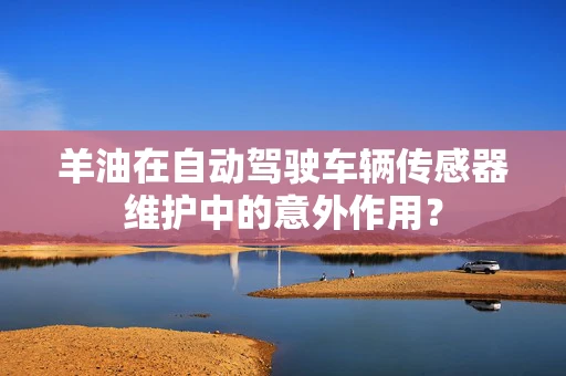 羊油在自动驾驶车辆传感器维护中的意外作用？