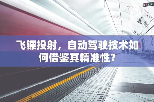 飞镖投射，自动驾驶技术如何借鉴其精准性？