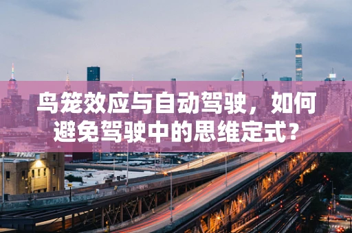 鸟笼效应与自动驾驶，如何避免驾驶中的思维定式？