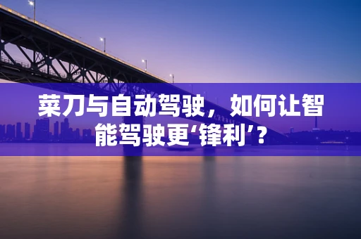 菜刀与自动驾驶，如何让智能驾驶更‘锋利’？