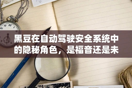 黑豆在自动驾驶安全系统中的隐秘角色，是福音还是未知数？