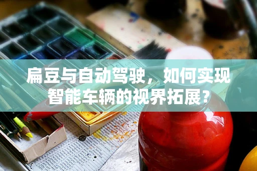 扁豆与自动驾驶，如何实现智能车辆的视界拓展？
