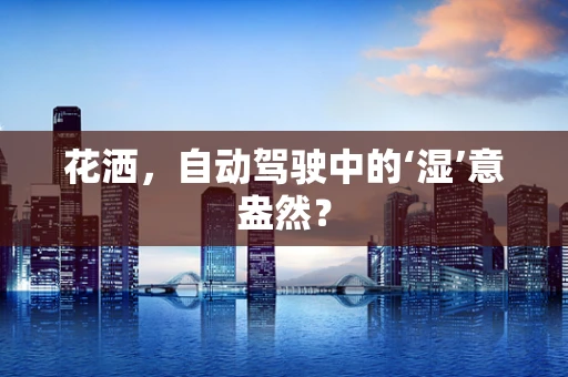 花洒，自动驾驶中的‘湿’意盎然？
