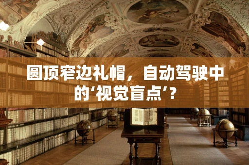圆顶窄边礼帽，自动驾驶中的‘视觉盲点’？