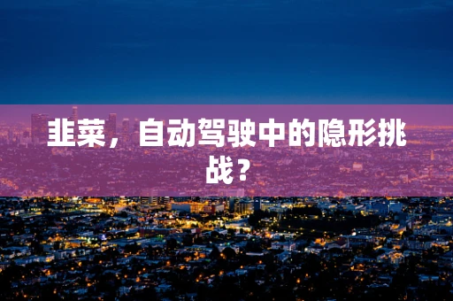 韭菜，自动驾驶中的隐形挑战？
