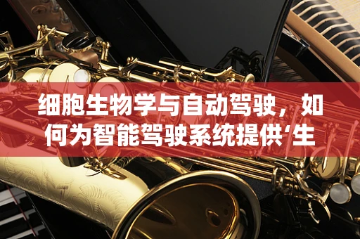 细胞生物学与自动驾驶，如何为智能驾驶系统提供‘生物灵感’？
