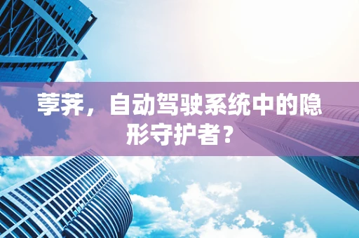荸荠，自动驾驶系统中的隐形守护者？