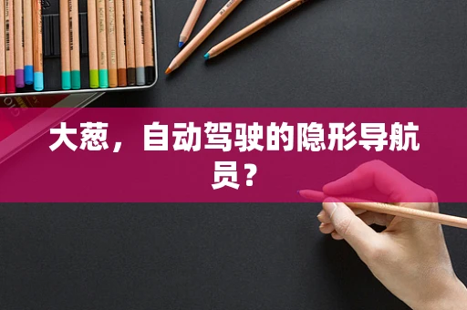 大葱，自动驾驶的隐形导航员？